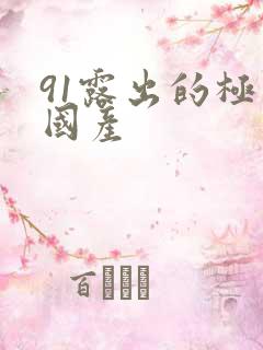 91露出的极品国产