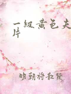 一级黄色夫妻大片