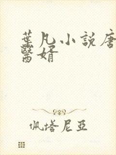 叶凡小说唐若雪医婿