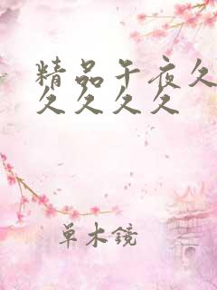 精品午夜久久久久久久久