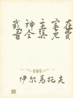 武神主宰在线观看全集免费播放真人版