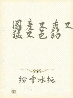 国产又爽又粗又猛又色的