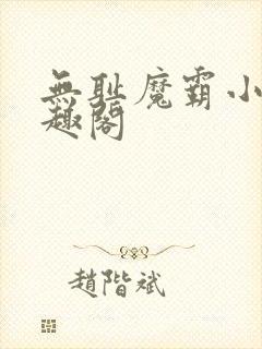 无耻魔霸小说笔趣阁