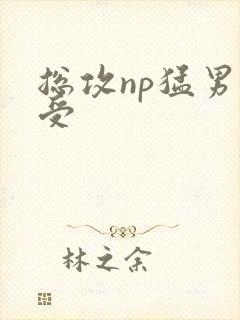 总攻np猛男壮受