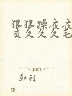 狠狠躁夜夜躁人爽久久久毛片