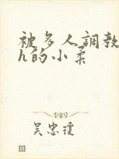 被多人调教失禁h的小柔