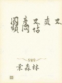 国产又爽又黄视频网站