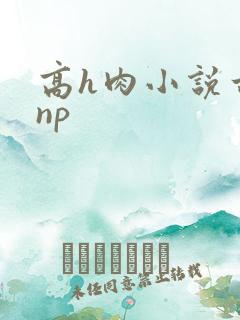 高h肉小说古言np