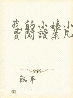 我的小姨小说免费阅读叶凡