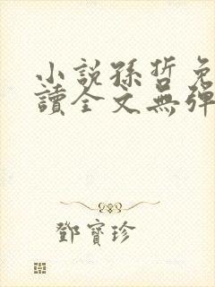 小说孙哲免费阅读全文无弹窗