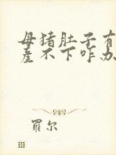 母猪肚子有死胎产不下咋办