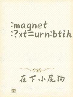 :magnet:?xt=urn:btih: