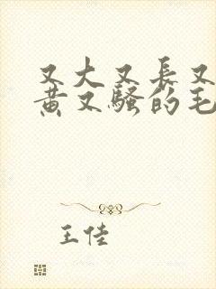 又大又长又粗又黄又骚的毛片