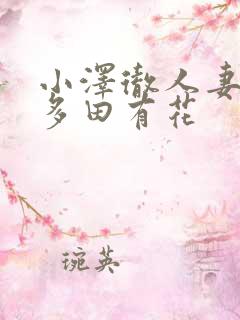 小泽彻人妻秘书多田有花