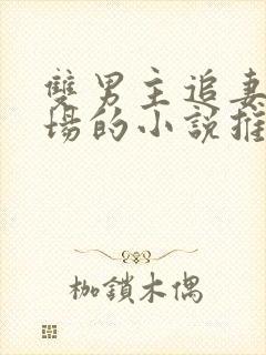 双男主追妻火葬场的小说推荐