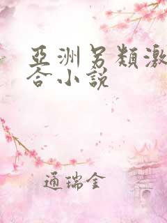 亚洲另类激情综合小说