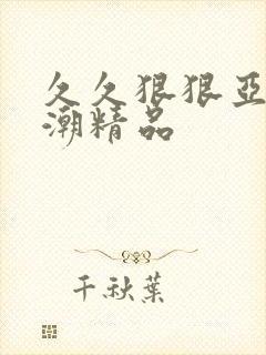 久久狠狠亚洲高潮精品