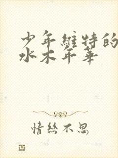 少年维特的烦恼水木年华