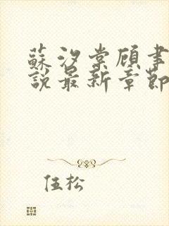 苏汐棠顾聿川小说最新章节免费阅读