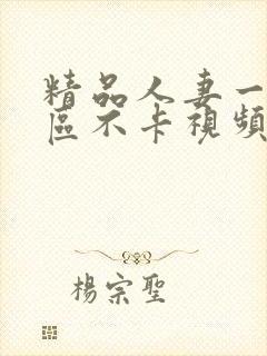 精品人妻一区二区不卡视频