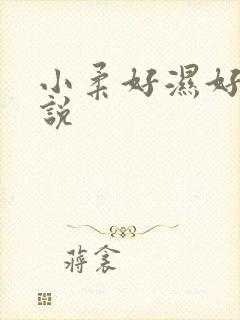 小柔好湿好紧小说