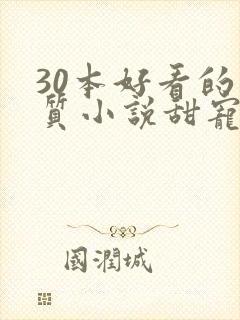 30本好看的肉质小说甜宠文