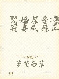 闪婚厚爱:墨少宠妻成瘾正版