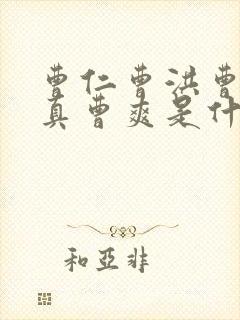 曹仁曹洪曹休曹真曹爽是什么关系