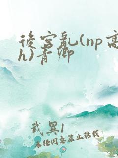 后宫乱(np高h)青卿