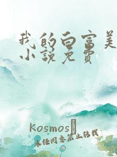 我的白富美老婆小说免费