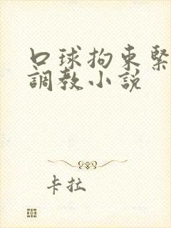 口球拘束紧缚h调教小说