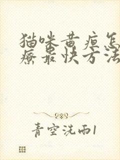 猫咪黄疸怎么治疗最快方法