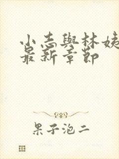 小志与林姨小说最新章节