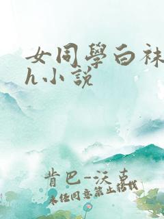 女同学白袜玉足h小说