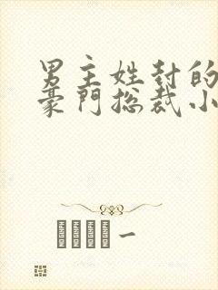 男主姓封的所有豪门总裁小说