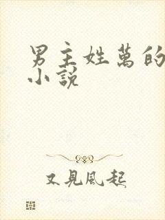 男主姓万的现代小说