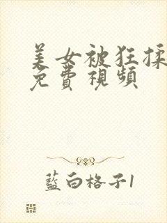 美女被狂揉下部免费视频