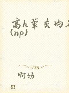 高h荤爽肉欲文(np)