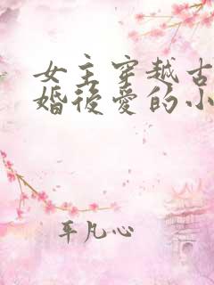 女主穿越古代先婚后爱的小说