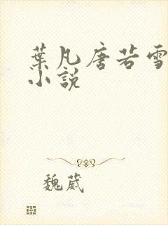 叶凡唐若雪医婿小说