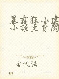 暴露狂小伟发记小说免费阅读