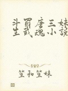 斗罗唐三妹妹双生武魂小说