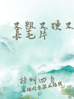 又粗又硬又大又长毛片