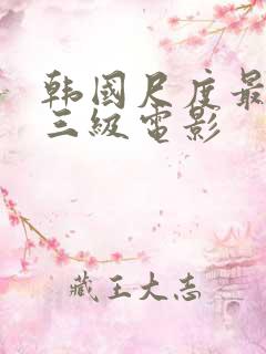 韩国尺度最大的三级电影