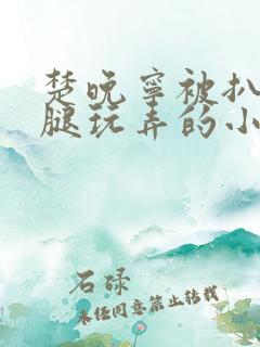 楚晚宁被扒开双腿玩弄的小说