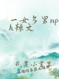 一女多男np高h辣文