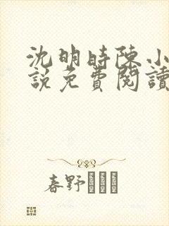 沈明时陈小雨小说免费阅读最新章节