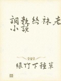 调教丝袜老师的小说