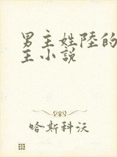 男主姓陆的双男主小说