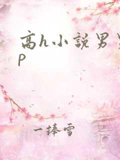 高h小说男男np